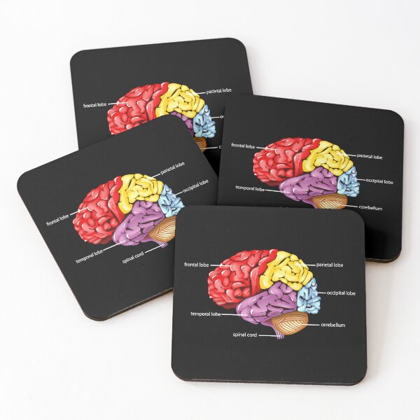 Item preview, Brain designed and sold by TopBaseline.