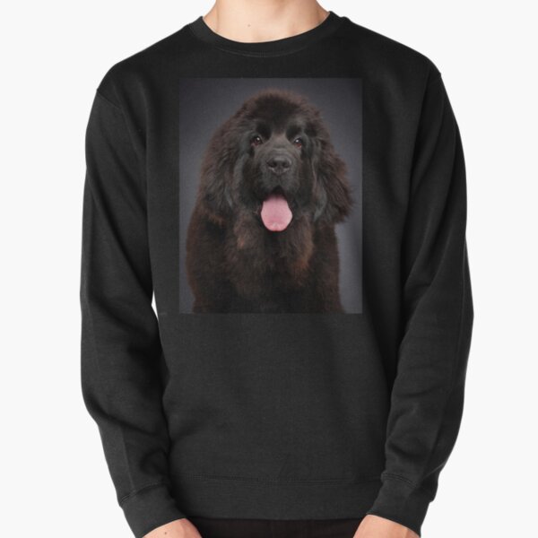 newfoundland dog sweater