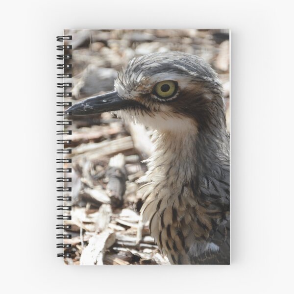 Item preview, CURLEW designed and sold by kazaroodie.