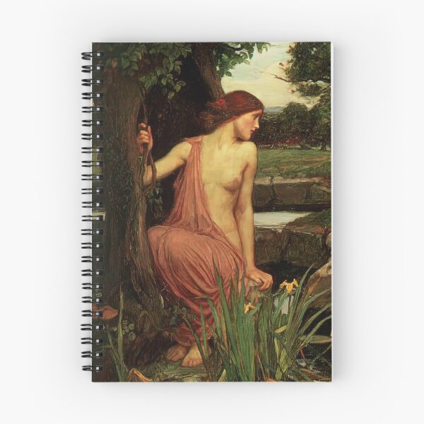 Item preview, Echo And Narcissus by John William Waterhouse designed and sold by AestheticsXarts.