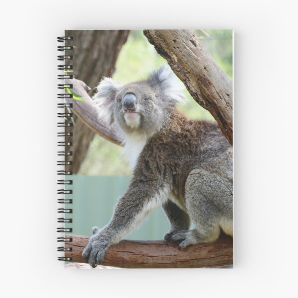 Item preview, KOALA IN THE GUM TREE designed and sold by kazaroodie.