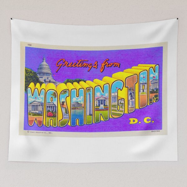 Aperçu de l'œuvre Washington DC créée et vendue par Go Logo Designs.