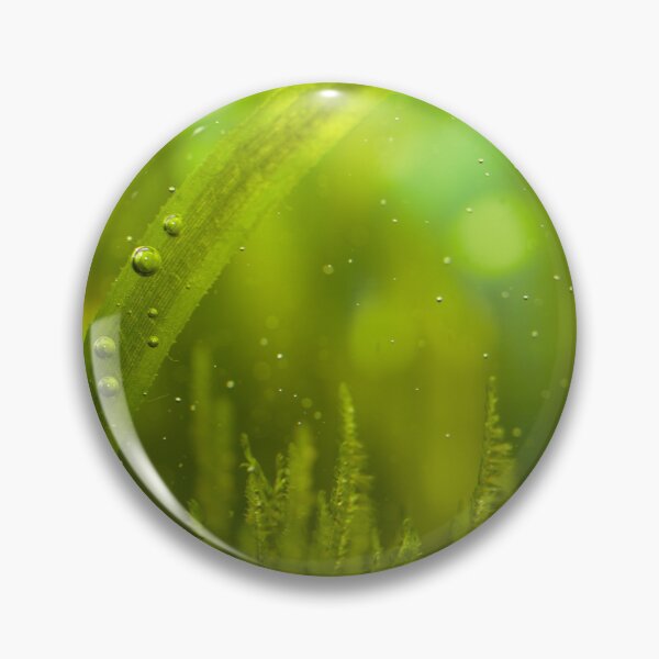 Item preview, Beautiful algae underwater designed and sold by FairyOfCherries.