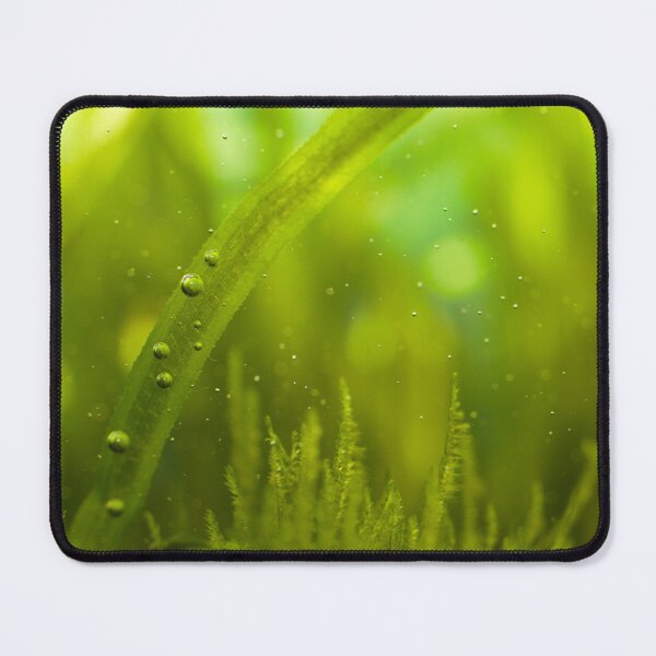 Item preview, Beautiful algae underwater designed and sold by FairyOfCherries.