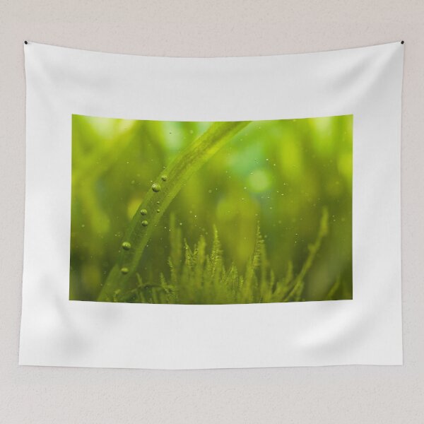 Item preview, Beautiful algae underwater designed and sold by FairyOfCherries.