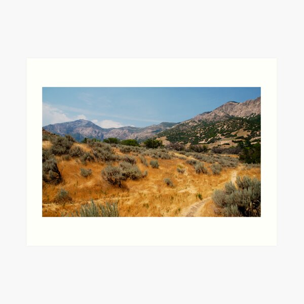 High Summer in Ogden Art Print