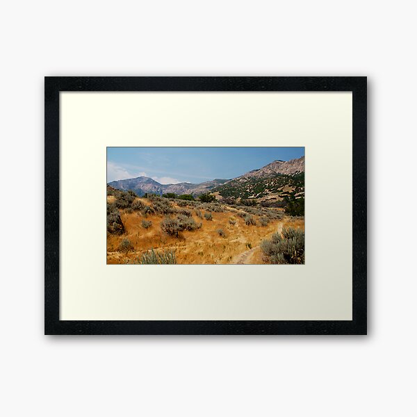 High Summer in Ogden Framed Art Print