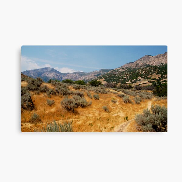 High Summer in Ogden Canvas Print