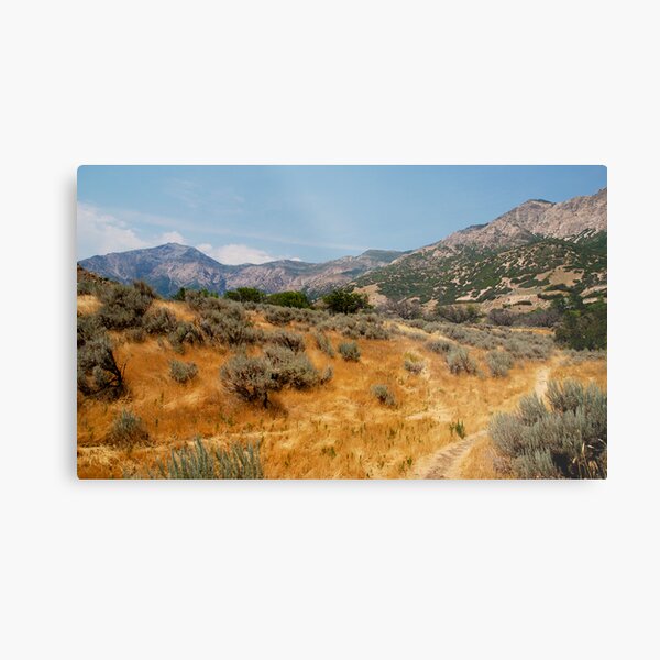 High Summer in Ogden Metal Print