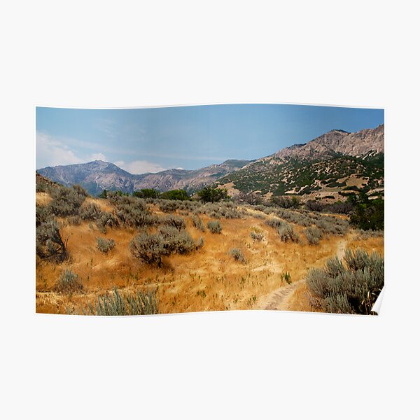 High Summer in Ogden Poster