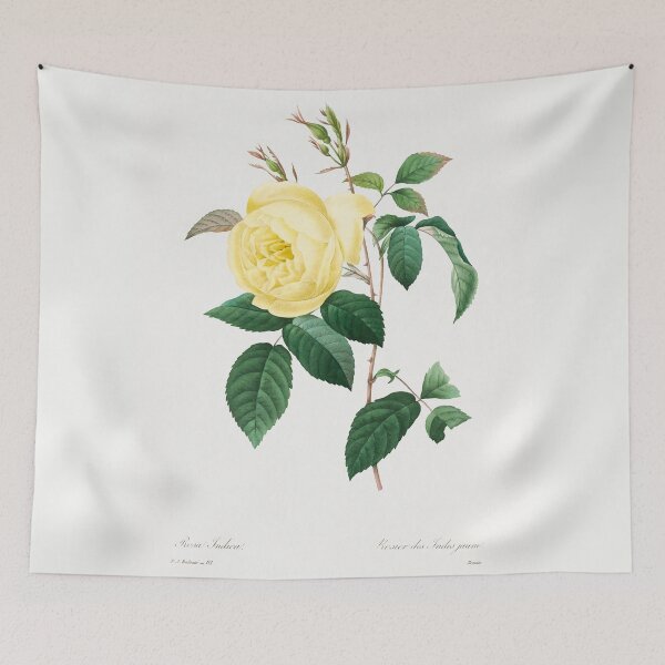 Item preview, Yellow Rose (1759–1840) Vintage Hand Drawn Flower Sketch (Botanical drawing) designed and sold by UsedToBeStatue.