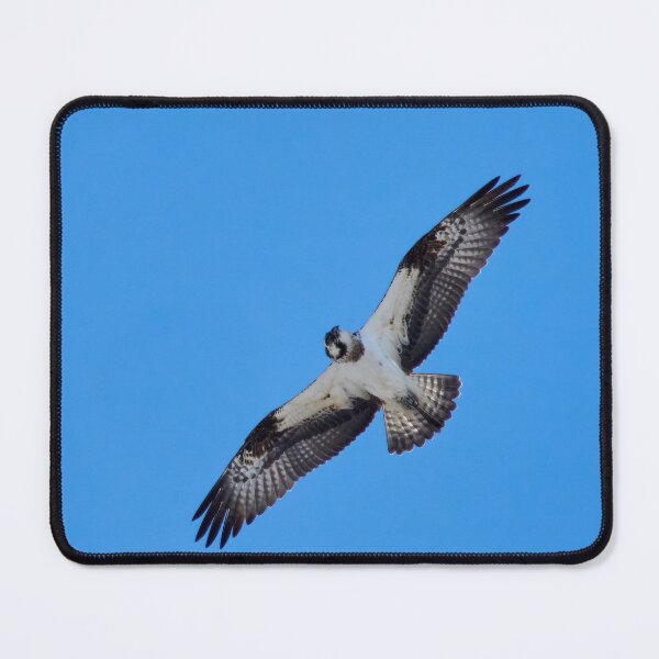 Item preview, Looking down. Osprey designed and sold by Jouko Lehto Photography.