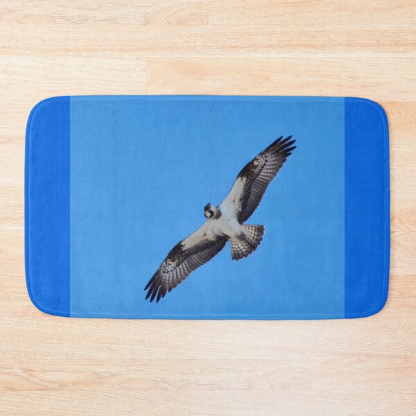 Item preview, Looking down. Osprey designed and sold by Jouko Lehto Photography.