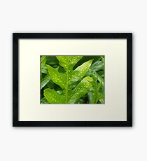Up Close Framed Print