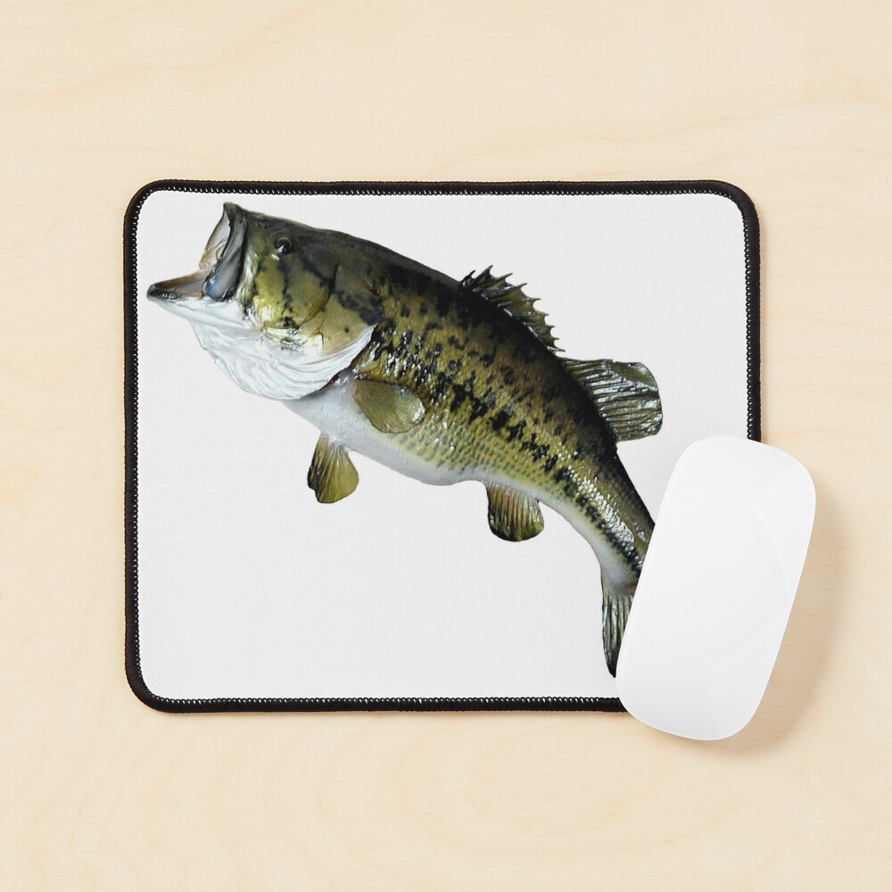 Bass Fishing, Real Largemouth Bass Fish High Quality Bass Fishing Magnet  for Sale by YJHDesign