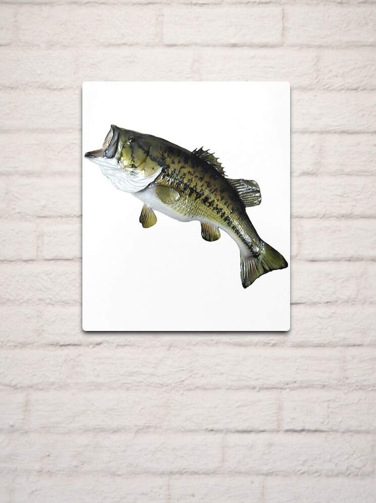 Bass Fish Art Print' Poster, picture, metal print, paint by