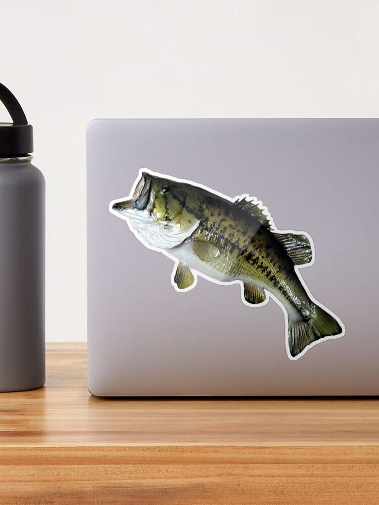 Bass Fishing, Real Largemouth Bass Fish High Quality Bass Fishing Sticker  for Sale by YJHDesign