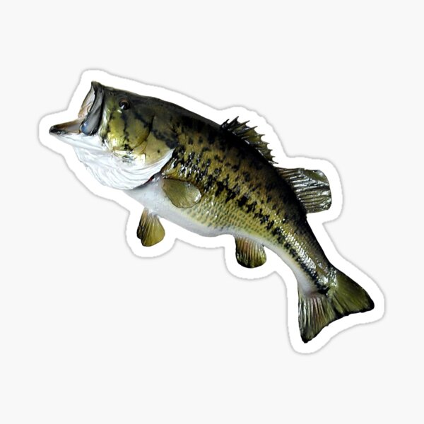 Bill Dance Bass Fishing Stickers, Stickers, Stickers, Stickers