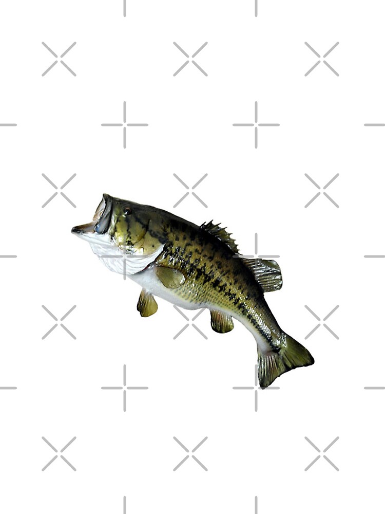 Bass Fishing, Real Largemouth Bass Fish High Quality Bass Fishing iPhone  Case for Sale by YJHDesign