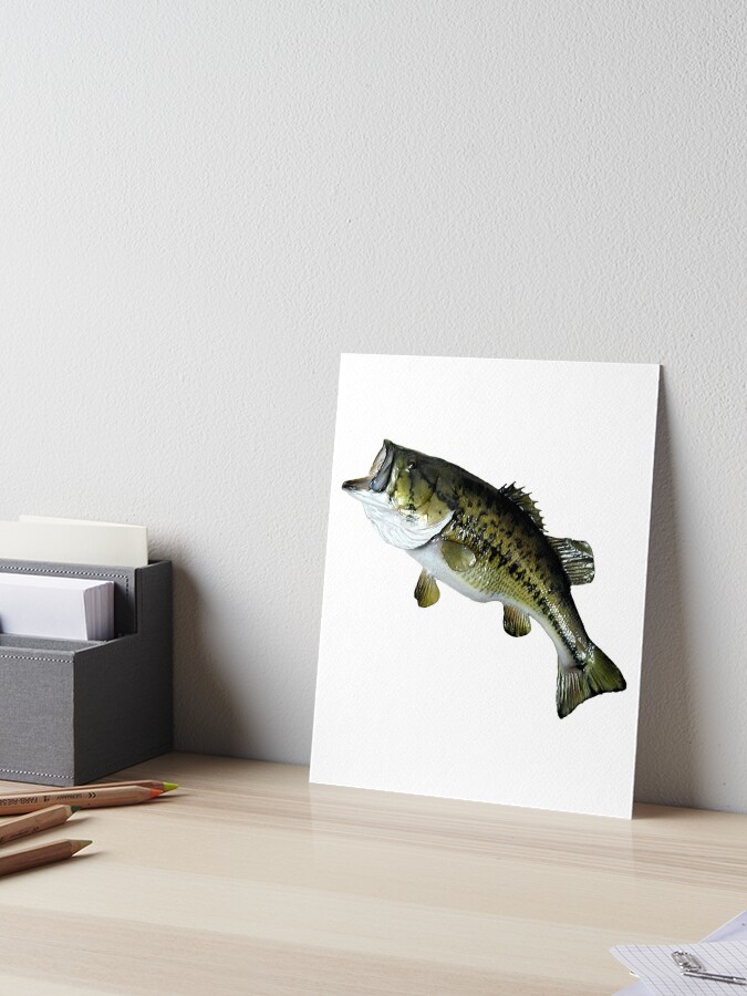 Bass Fishing, Real Largemouth Bass Fish High Quality Bass Fishing | Art  Board Print