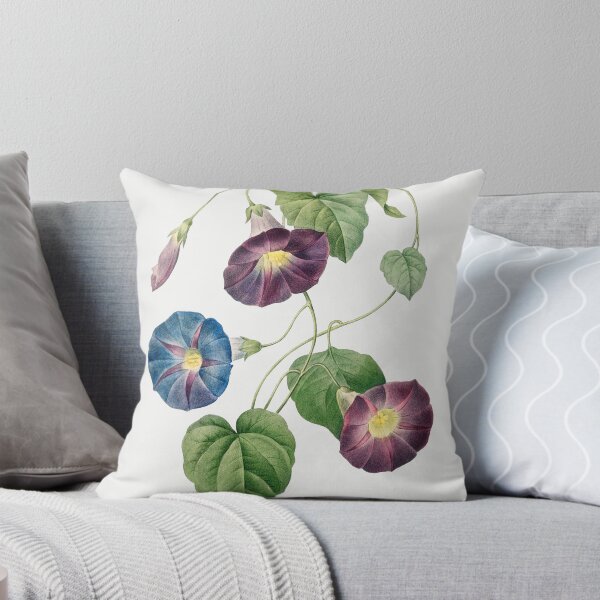 Item preview, Star-glory Morning–glory (1759–1840) Vintage Hand Drawn Flower Sketch (Botanical drawing) designed and sold by UsedToBeStatue.