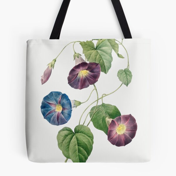 Item preview, Star-glory Morning–glory (1759–1840) Vintage Hand Drawn Flower Sketch (Botanical drawing) designed and sold by UsedToBeStatue.