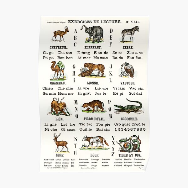 Vintage Alphabet Learning Zoo Animals Vintage Alphabet Learning Zoo Animals