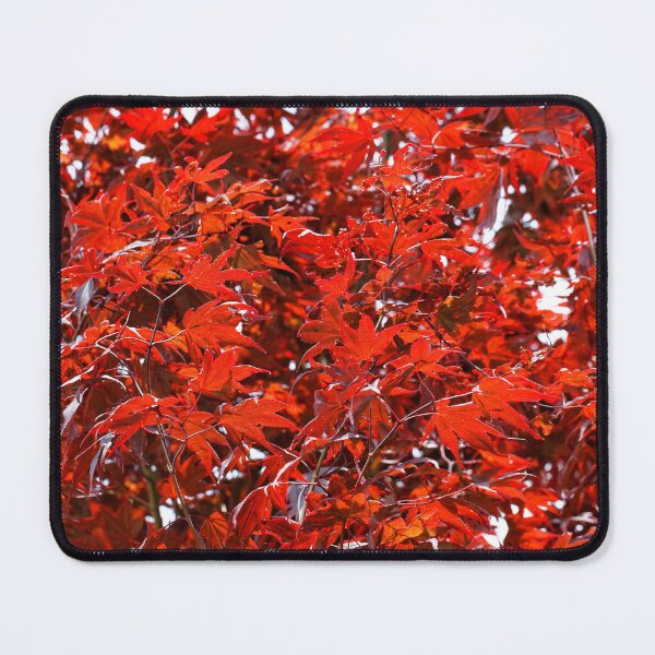 Item preview, Japanese Maple Tree designed and sold by walkswithnature.