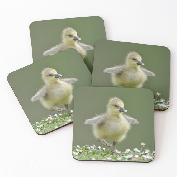 Item preview, Tip toe through the daisies designed and sold by ClaireChown.