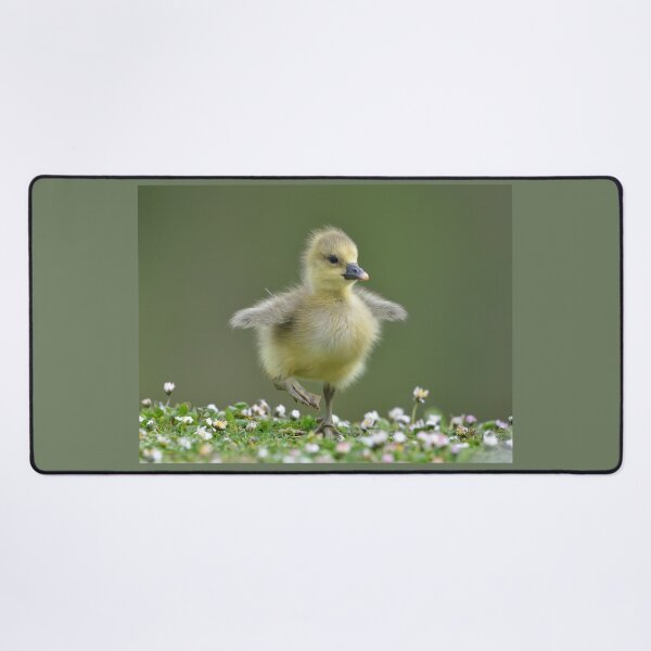 Item preview, Tip toe through the daisies designed and sold by ClaireChown.