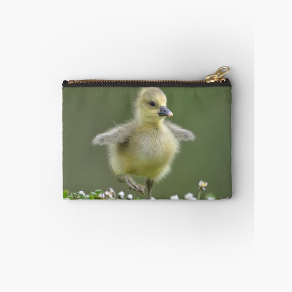 Item preview, Tip toe through the daisies designed and sold by ClaireChown.