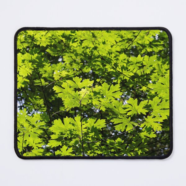 Item preview, Sun-Dappled Leaves in the Forest designed and sold by walkswithnature.