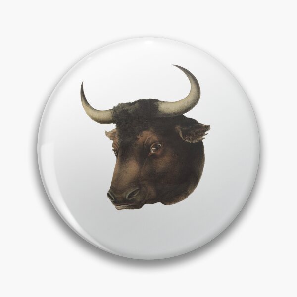 Item preview, TORO FACE - BULLFIGHTER - SPAIN - ANDALUSIA - BULLS - BULL - BULLFIGHTER designed and sold by acapotevuelto.