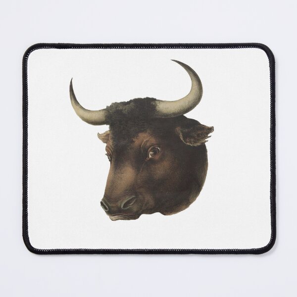Item preview, TORO FACE - BULLFIGHTER - SPAIN - ANDALUSIA - BULLS - BULL - BULLFIGHTER designed and sold by acapotevuelto.