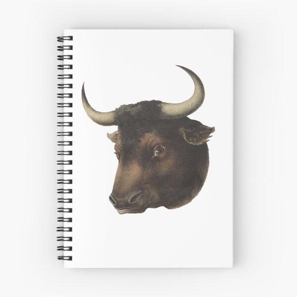 Item preview, TORO FACE - BULLFIGHTER - SPAIN - ANDALUSIA - BULLS - BULL - BULLFIGHTER designed and sold by acapotevuelto.