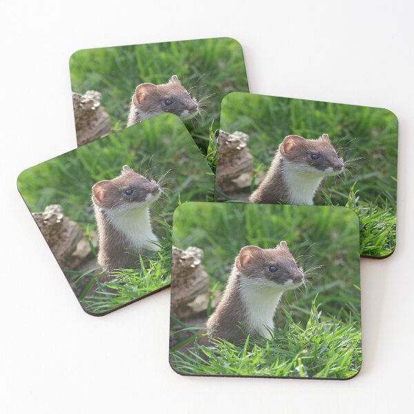 Item preview, Nosey Stoat designed and sold by ClaireChown.