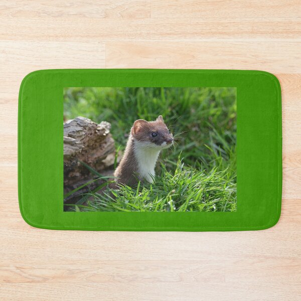 Item preview, Nosey Stoat designed and sold by ClaireChown.
