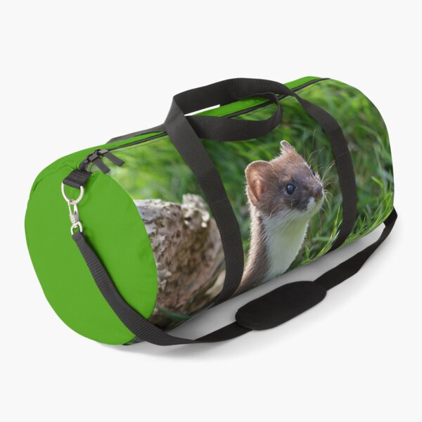 Item preview, Nosey Stoat designed and sold by ClaireChown.