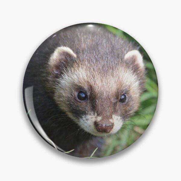 Item preview, Polecat designed and sold by ClaireChown.
