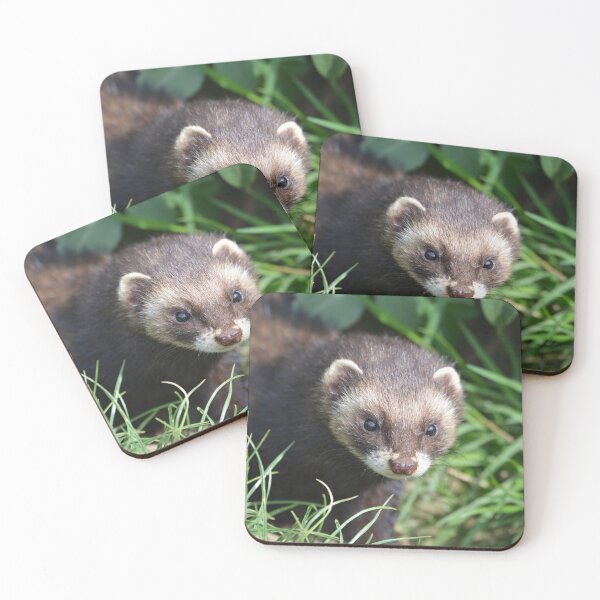 Item preview, Polecat designed and sold by ClaireChown.
