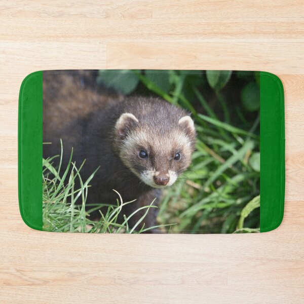 Item preview, Polecat designed and sold by ClaireChown.