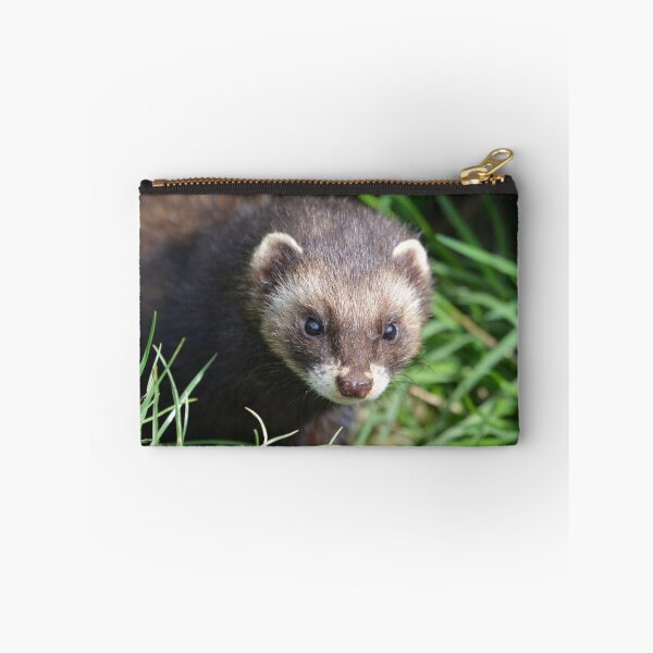 Item preview, Polecat designed and sold by ClaireChown.