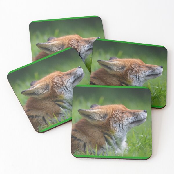Item preview, Sunshine Fox II designed and sold by ClaireChown.