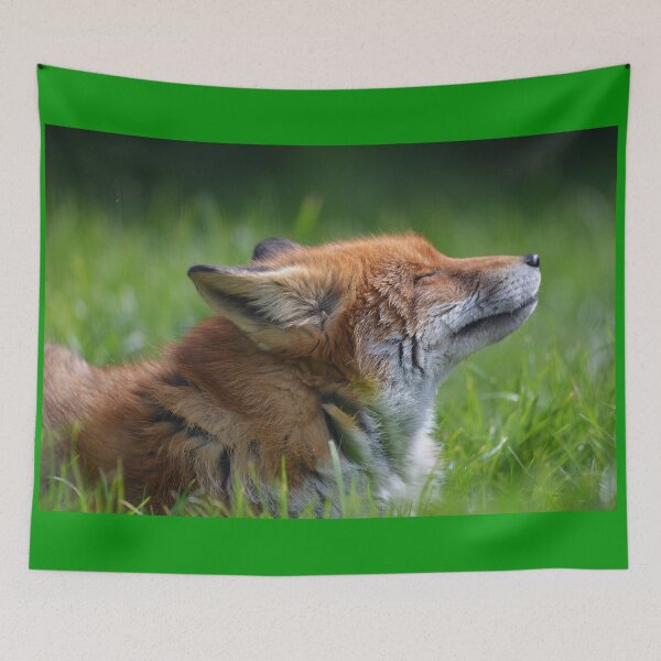 Item preview, Sunshine Fox II designed and sold by ClaireChown.