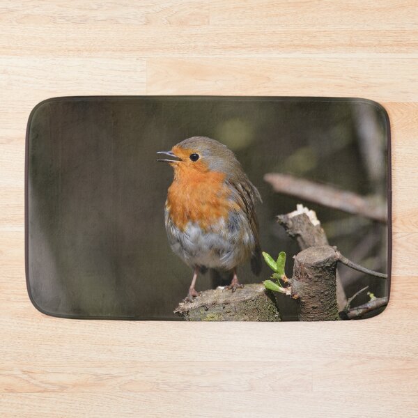 Item preview, Sunny Robin designed and sold by ClaireChown.