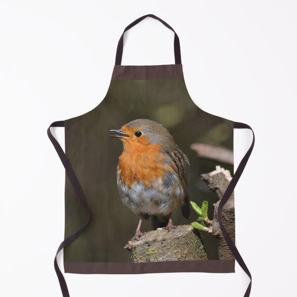 Item preview, Sunny Robin designed and sold by ClaireChown.
