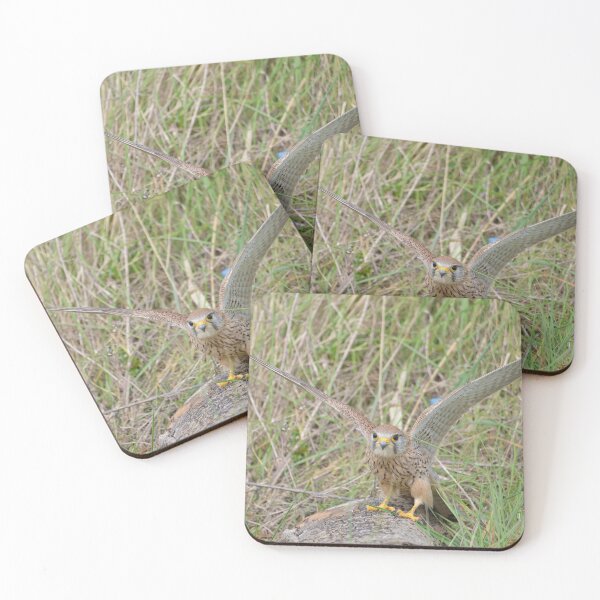 Item preview, Kestrel Encounter designed and sold by ClaireChown.