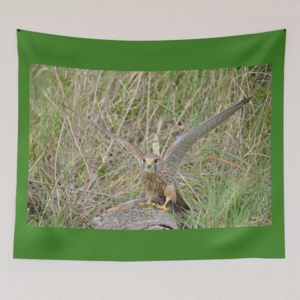 Item preview, Kestrel Encounter designed and sold by ClaireChown.
