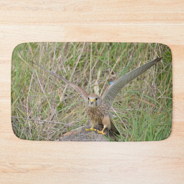 Item preview, Kestrel Encounter designed and sold by ClaireChown.