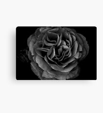 Charcoal Canvas Print